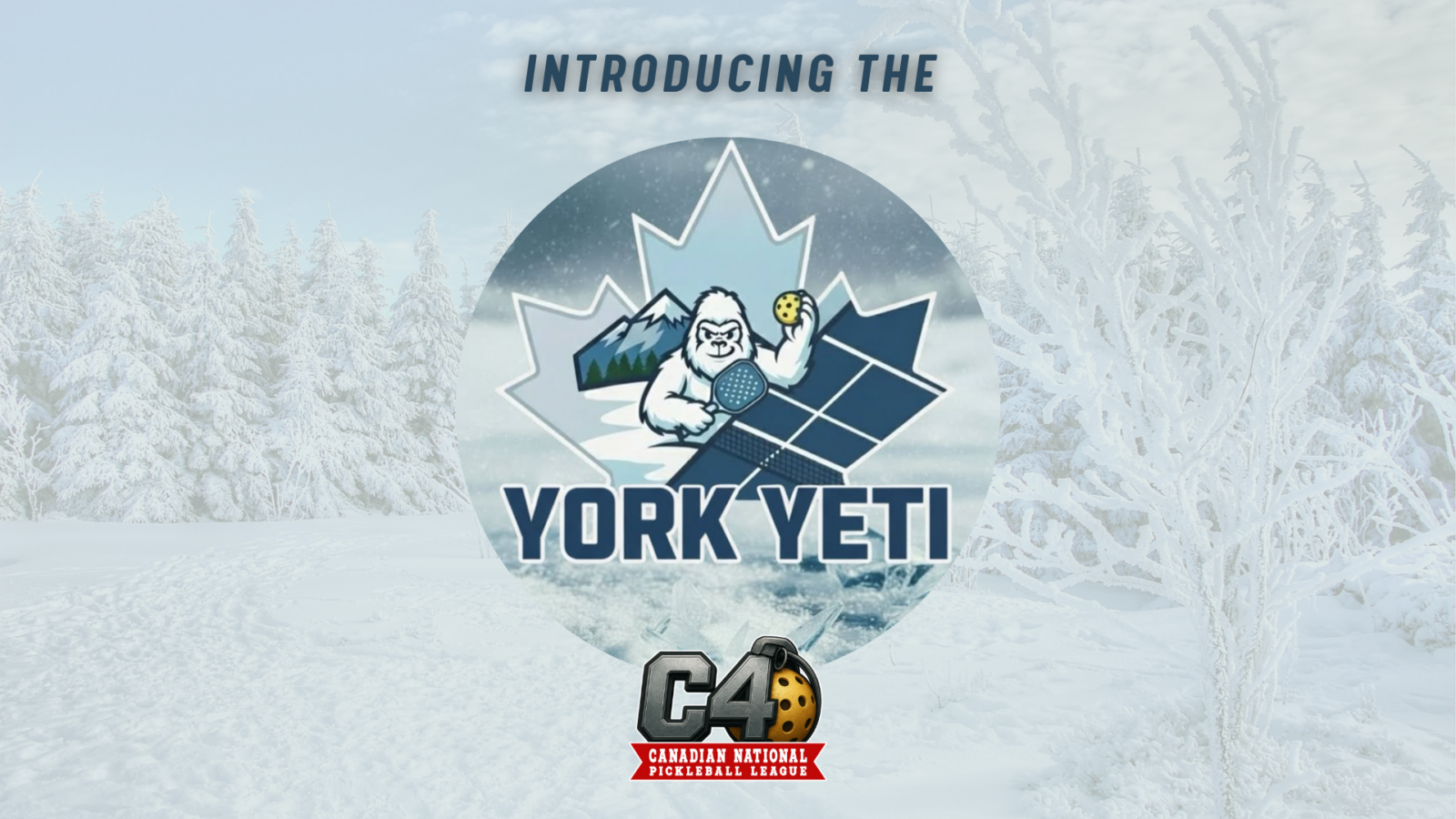 Meet the York Yeti