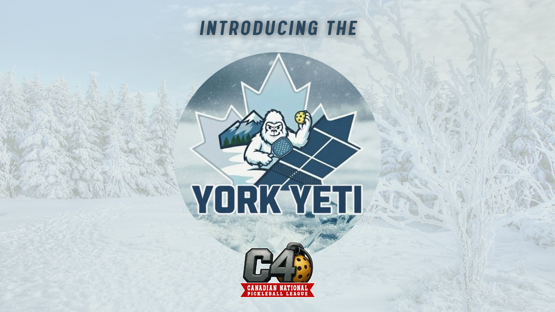 Meet the York Yeti